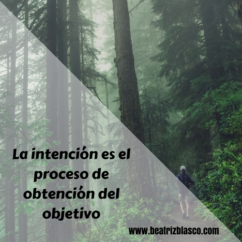 reinvencion profesional